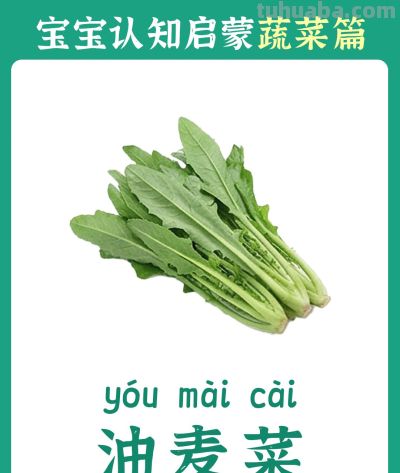 儿童认知启蒙卡：蔬菜篇 - 图画吧TUHUABA