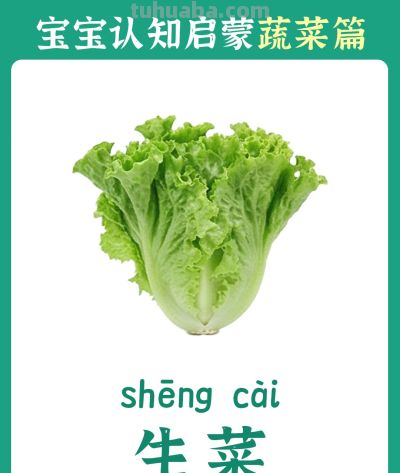 儿童认知启蒙卡：蔬菜篇 - 图画吧TUHUABA