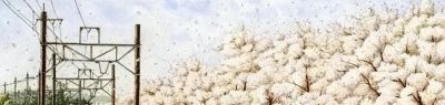 彩铅风景画欣赏 | 彩铅画成这样 绝对让你震撼，极品！ - 图画吧TUHUABA