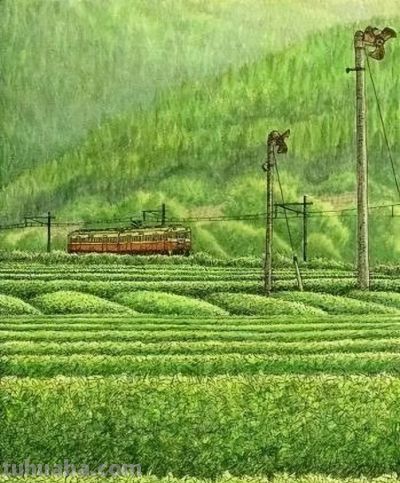 彩铅风景画欣赏 | 彩铅画成这样 绝对让你震撼，极品！ - 图画吧TUHUABA