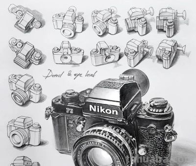 “教科书式”的素描分析，结构、细节和质感满分！经典画法了 - 图画吧TUHUABA