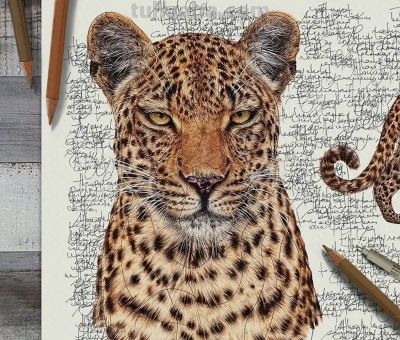 以为是高清照片，放大才发现是手绘，20 幅动物素描震撼全网 - 今日头条