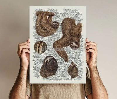 以为是高清照片,放大才发现是手绘,20 幅动物素描震撼全网 - 今日头条 以为是高清照片,放大才发现是手绘,20 幅动物素描震撼全网 - 图画吧TUHUABA