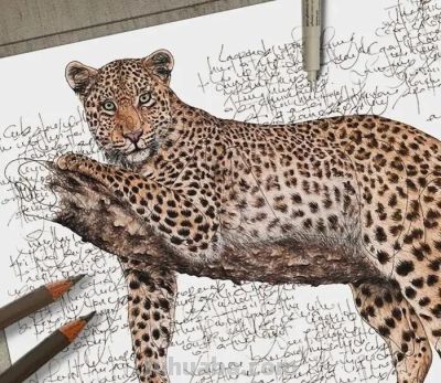 以为是高清照片,放大才发现是手绘,20 幅动物素描震撼全网 - 今日头条 以为是高清照片,放大才发现是手绘,20 幅动物素描震撼全网 - 图画吧TUHUABA