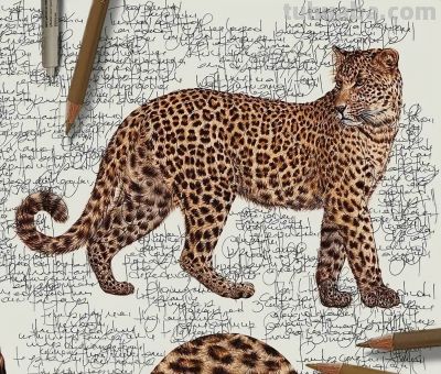 以为是高清照片,放大才发现是手绘,20 幅动物素描震撼全网 - 今日头条 以为是高清照片,放大才发现是手绘,20 幅动物素描震撼全网 - 图画吧TUHUABA