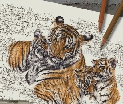 以为是高清照片,放大才发现是手绘,20 幅动物素描震撼全网 - 今日头条 以为是高清照片,放大才发现是手绘,20 幅动物素描震撼全网 - 图画吧TUHUABA