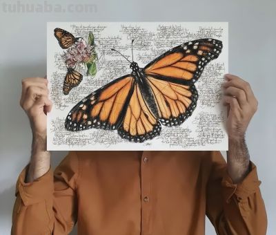 以为是高清照片,放大才发现是手绘,20 幅动物素描震撼全网 - 今日头条 以为是高清照片,放大才发现是手绘,20 幅动物素描震撼全网 - 图画吧TUHUABA