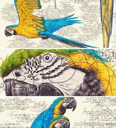 以为是高清照片,放大才发现是手绘,20 幅动物素描震撼全网 - 今日头条 以为是高清照片,放大才发现是手绘,20 幅动物素描震撼全网 - 图画吧TUHUABA