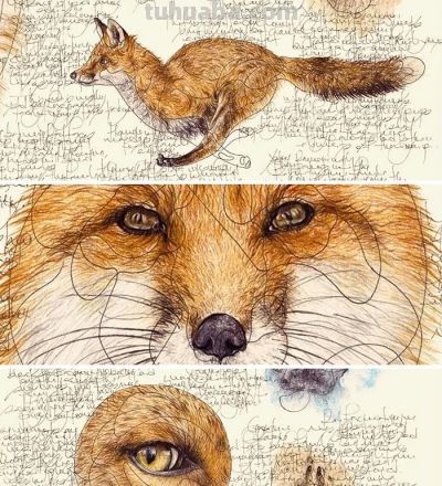 以为是高清照片,放大才发现是手绘,20 幅动物素描震撼全网 - 今日头条 以为是高清照片,放大才发现是手绘,20 幅动物素描震撼全网 - 图画吧TUHUABA