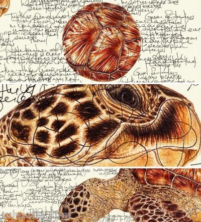 以为是高清照片,放大才发现是手绘,20 幅动物素描震撼全网 - 今日头条 以为是高清照片,放大才发现是手绘,20 幅动物素描震撼全网 - 图画吧TUHUABA