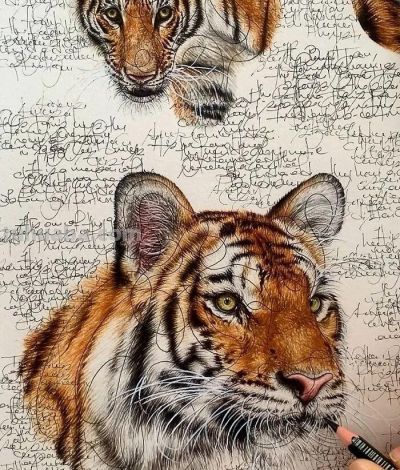 以为是高清照片,放大才发现是手绘,20 幅动物素描震撼全网 - 今日头条 以为是高清照片,放大才发现是手绘,20 幅动物素描震撼全网 - 图画吧TUHUABA