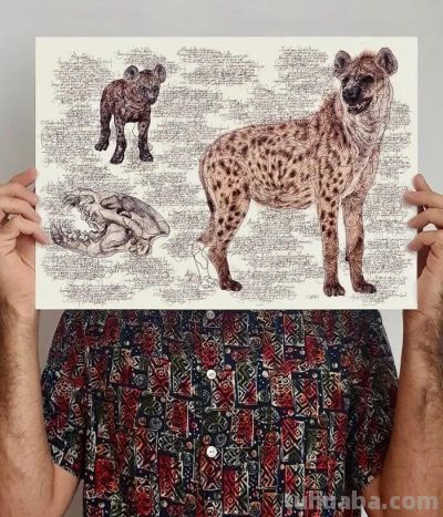 以为是高清照片,放大才发现是手绘,20 幅动物素描震撼全网 - 今日头条 以为是高清照片,放大才发现是手绘,20 幅动物素描震撼全网 - 图画吧TUHUABA