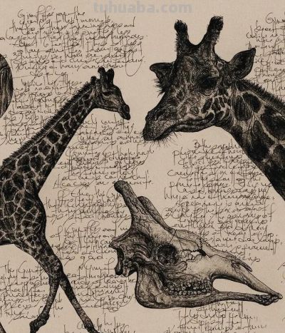 以为是高清照片,放大才发现是手绘,20 幅动物素描震撼全网 - 今日头条 以为是高清照片,放大才发现是手绘,20 幅动物素描震撼全网 - 图画吧TUHUABA