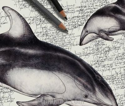 以为是高清照片,放大才发现是手绘,20 幅动物素描震撼全网 - 今日头条 以为是高清照片,放大才发现是手绘,20 幅动物素描震撼全网 - 图画吧TUHUABA