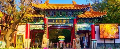 【醉美青檀秋色正当时】水彩画卷徐徐展开，只等您来！ - 图画吧TUHUABA