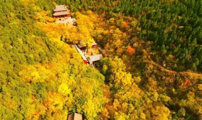 【醉美青檀秋色正当时】水彩画卷徐徐展开，只等您来！ - 图画吧TUHUABA