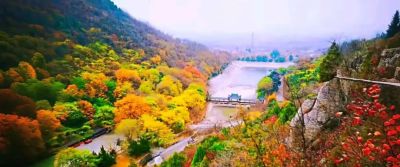 【醉美青檀秋色正当时】水彩画卷徐徐展开，只等您来！ - 图画吧TUHUABA