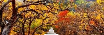 【醉美青檀秋色正当时】水彩画卷徐徐展开，只等您来！ - 图画吧TUHUABA