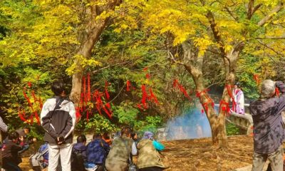 【醉美青檀秋色正当时】水彩画卷徐徐展开，只等您来！ - 图画吧TUHUABA