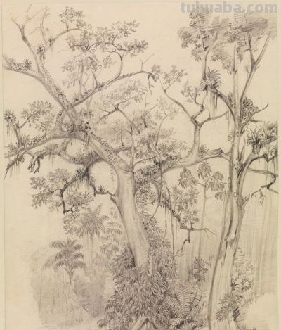 素描小稿德国画家费迪南德 · 凯勒作品赏 - 图画吧TUHUABA