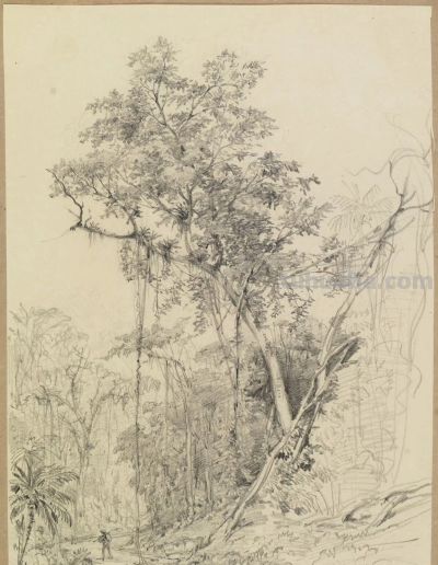 素描小稿德国画家费迪南德 · 凯勒作品赏 - 图画吧TUHUABA