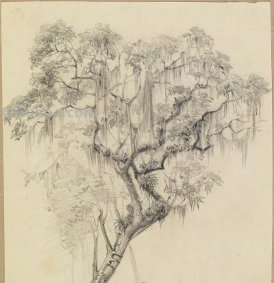 素描小稿德国画家费迪南德 · 凯勒作品赏 - 图画吧TUHUABA