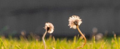 告别废片！4大防模糊技巧，第1个太多人中招 - 今日头条