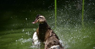 告别废片！4大防模糊技巧，第1个太多人中招 - 图画吧TUHUABA