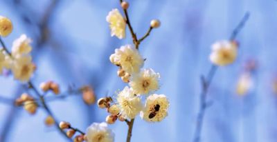 开了，超出片！（附手机拍摄实用技巧） - 今日头条