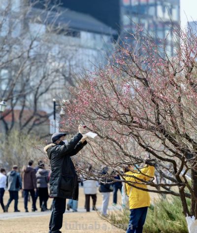 开了，超出片！（附手机拍摄实用技巧） - 图画吧TUHUABA