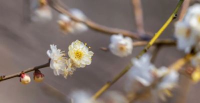 开了，超出片！（附手机拍摄实用技巧） - 图画吧TUHUABA