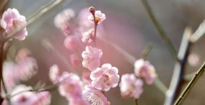 开了，超出片！（附手机拍摄实用技巧） - 图画吧TUHUABA