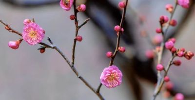 开了，超出片！（附手机拍摄实用技巧） - 图画吧TUHUABA