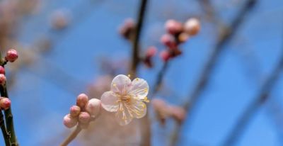 开了，超出片！（附手机拍摄实用技巧） - 图画吧TUHUABA