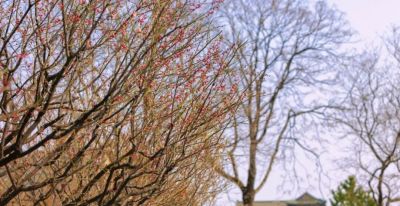 开了，超出片！（附手机拍摄实用技巧） - 图画吧TUHUABA