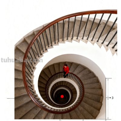 为什么手机拍照总拍不好？6 个新手必学技巧，轻松拍出专业感照片 - 图画吧TUHUABA