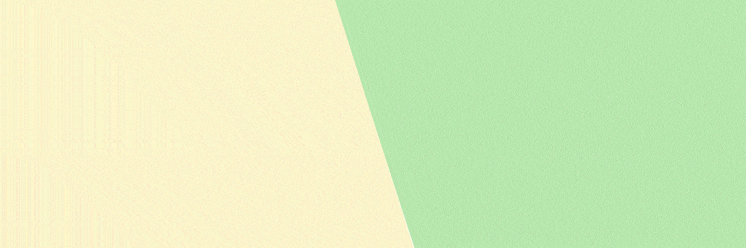 春播好时节！“北苑路88号”市集邀您开启家庭种植之旅 - 今日头条