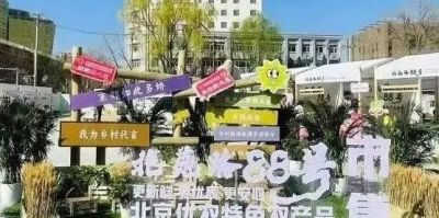 春播好时节！“北苑路88号”市集邀您开启家庭种植之旅 - 图画吧TUHUABA