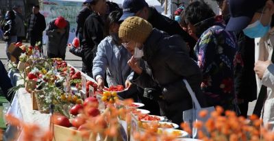 春播好时节！“北苑路88号”市集邀您开启家庭种植之旅 - 图画吧TUHUABA