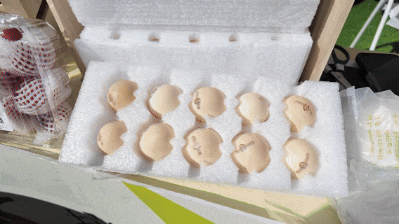 春播好时节！“北苑路88号”市集邀您开启家庭种植之旅 - 图画吧TUHUABA