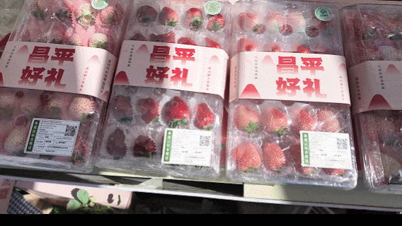 春播好时节！“北苑路88号”市集邀您开启家庭种植之旅 - 图画吧TUHUABA