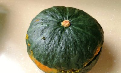 巴掌大阳台也能变“南瓜园”：贝贝南瓜家庭种植全攻略 - 图画吧TUHUABA