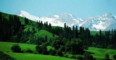 全网刷屏！儿童心理博主水彩诗集刷屏 - 今日头条