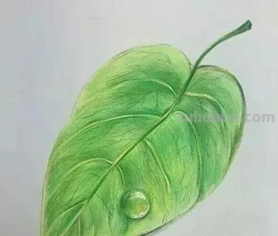 彩铅画，太美了 - 图画吧TUHUABA