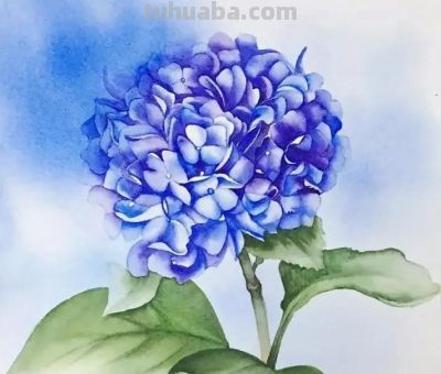 彩铅画，太美了 - 图画吧TUHUABA