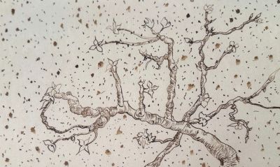 文森特梵高的个性素描 - 图画吧TUHUABA