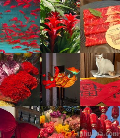 夜读丨走进春日的阳光里 来一次色彩寻宝吧 - 图画吧TUHUABA