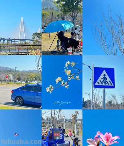 夜读丨走进春日的阳光里 来一次色彩寻宝吧 - 图画吧TUHUABA