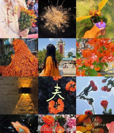 夜读丨走进春日的阳光里 来一次色彩寻宝吧 - 图画吧TUHUABA