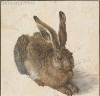 与天地俯仰生机:看艺术家笔下的蓬勃生命 - 今日头条 与天地俯仰生机:看艺术家笔下的蓬勃生命 - 图画吧TUHUABA